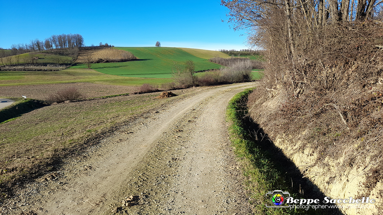 20230110_143402 - Dalla terra... il grano.jpg